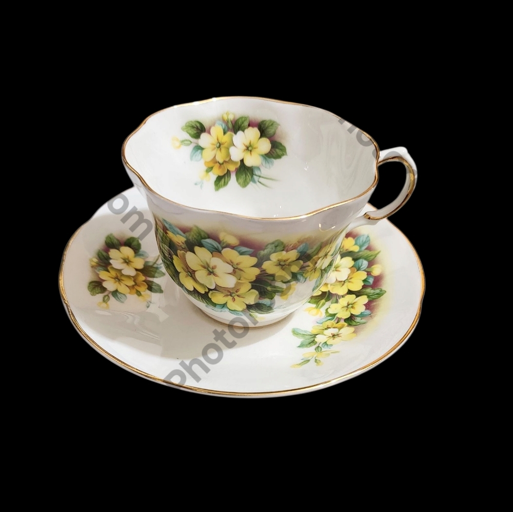 Queen's Floral Teacup and Saucer Set Fine Bone China. England